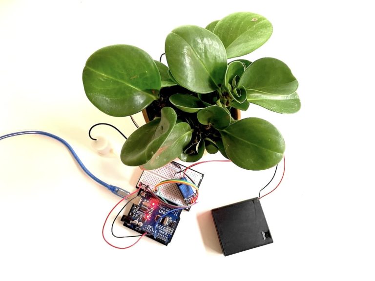 Automatic Plant Watering With An Arduino - Pollux Labs